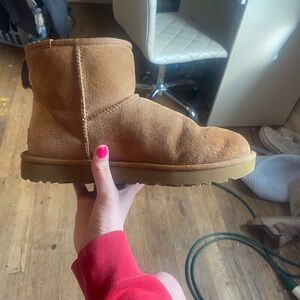 UGGs minis